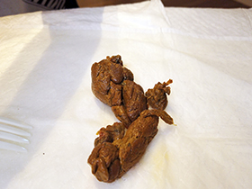 ツンツン女の子のうるうる排泄　女監督にうんちまで撮られて赤面羞恥　サンプル画像13